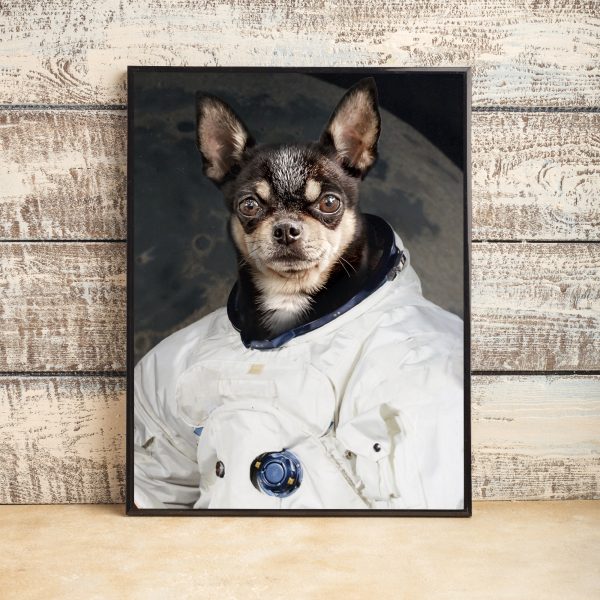 Foglalkozások Portré