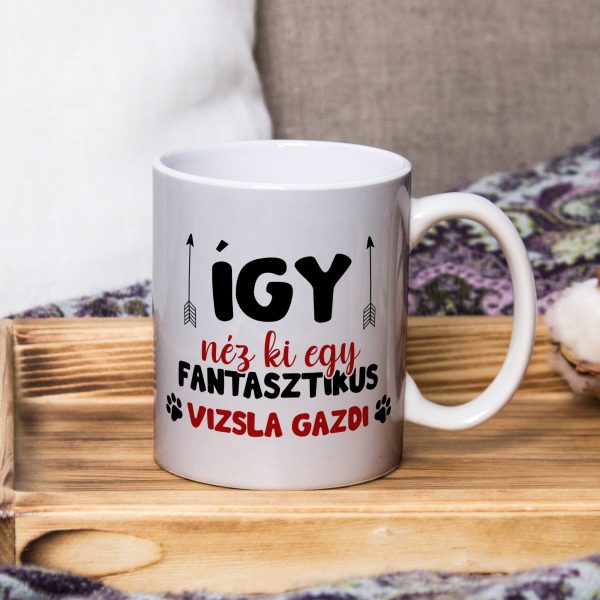 Így néz ki egy fantasztikus vizsla gazdi bögre