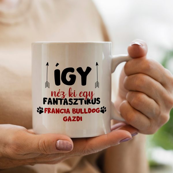 Így néz ki egy fantasztikus francia bulldog gazdi bögre