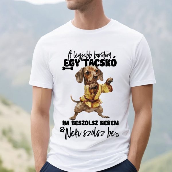 Ha beszólsz nekem tacskós póló