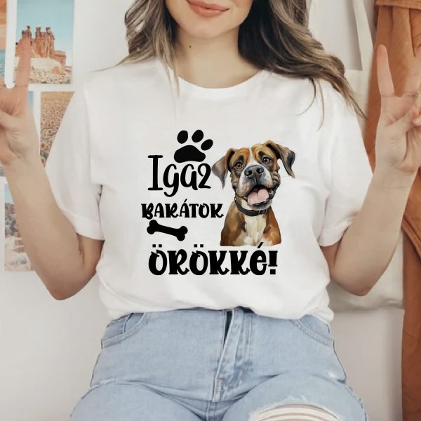 Igaz barátok örökké, boxeres póló